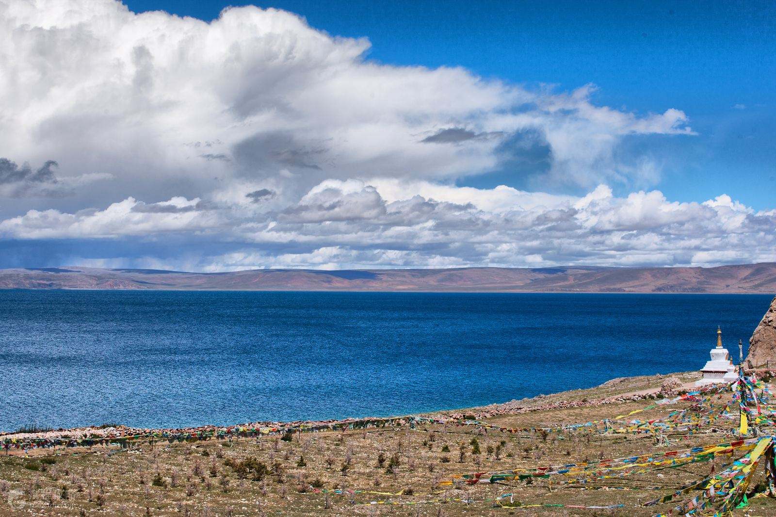 西藏,蓝天下的温馨日常与友情趣事