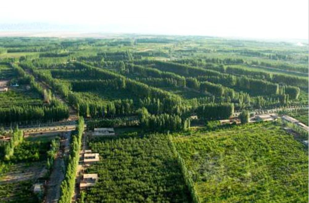 新疆,多元文化融合的璀璨明珠