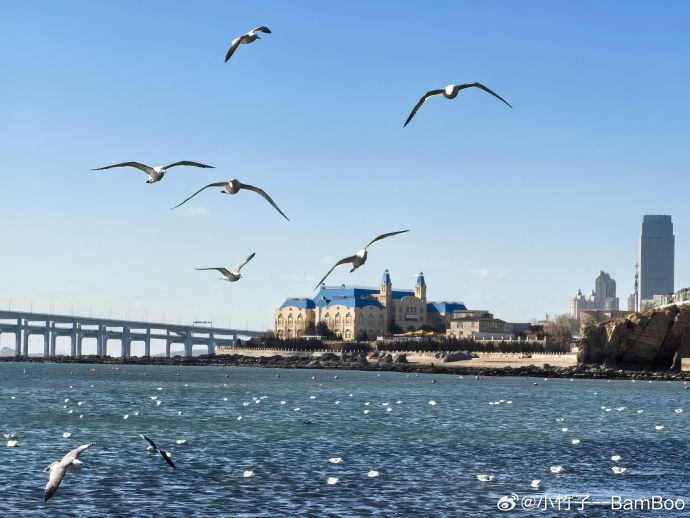 大连夏日,友情、家庭与爱的日常记忆