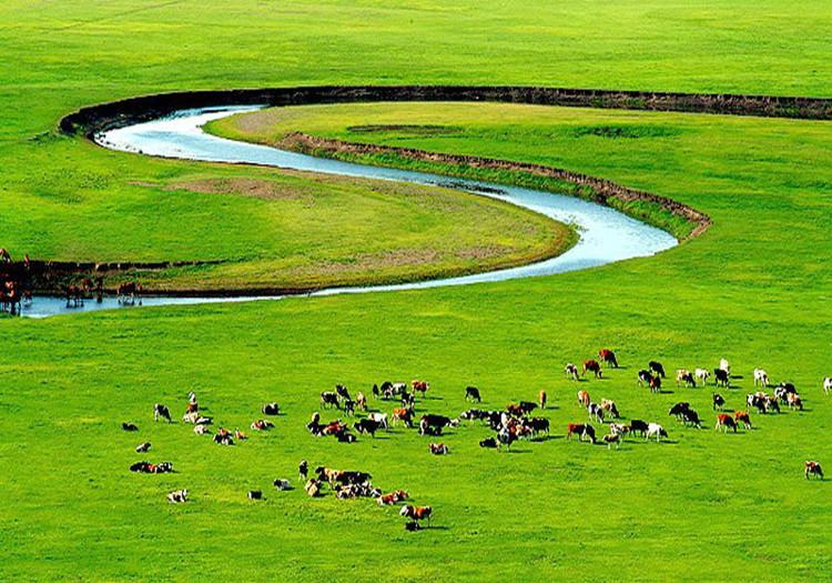 鄂尔多斯,历史悠久的自然资源宝库与文化传承之地