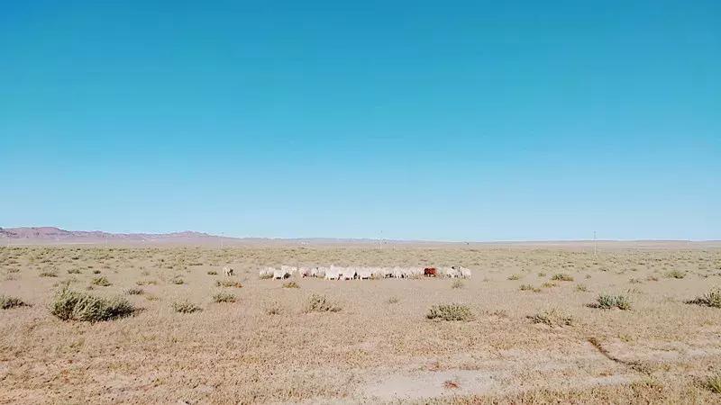 巴彦淖尔，内蒙古温柔之旅🌟